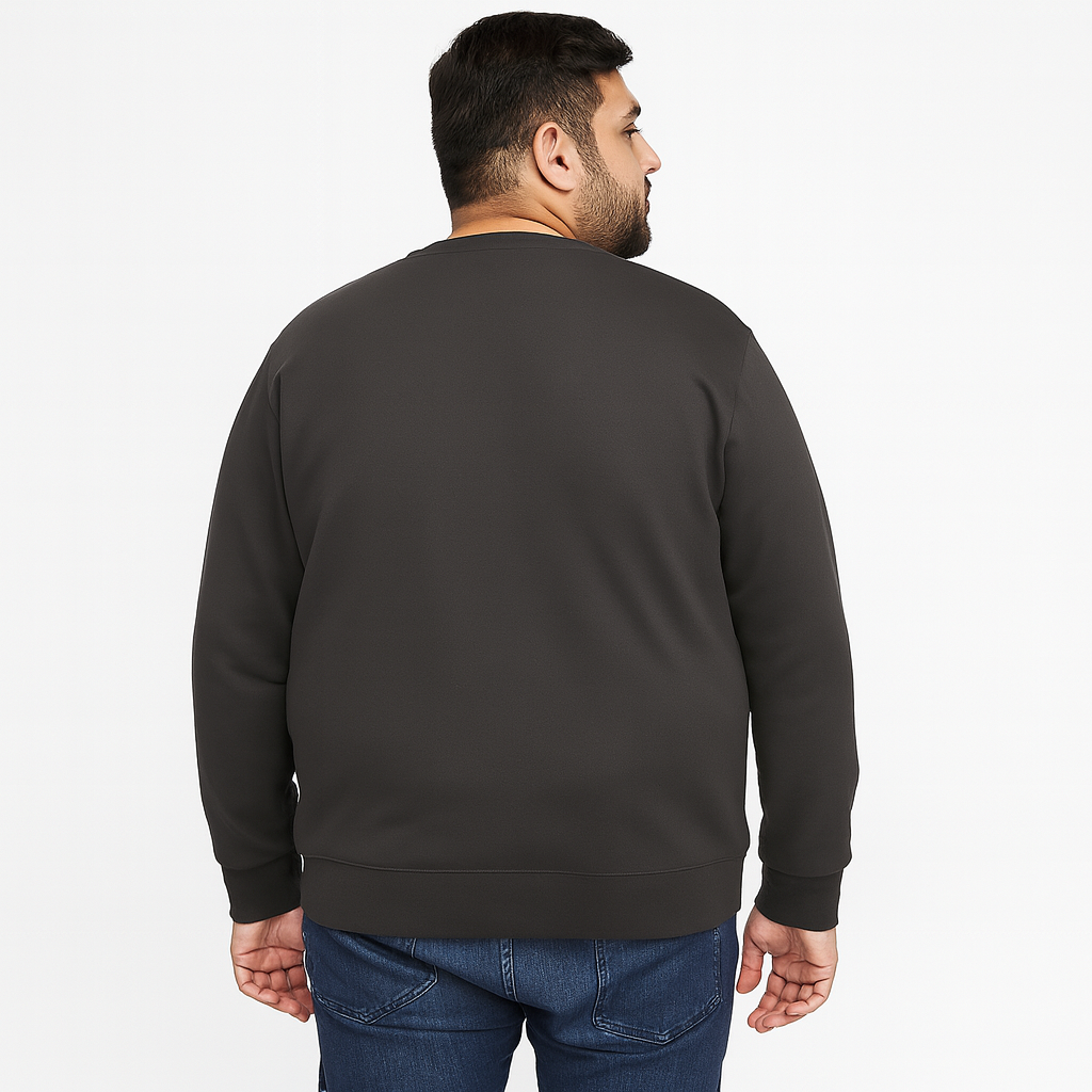 Men’s charcoal fleece crewneck sweatshirt, plus size (2XL–6XL), with ribbed cuffs and hem, featuring a small embroidered PS logo on the chest
