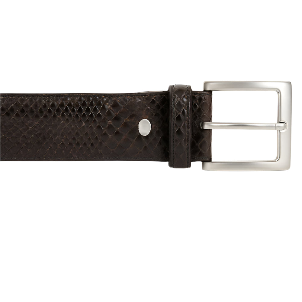 Dark brown snakeskin-textured plus-size leather belt with silver buckle on a white background.