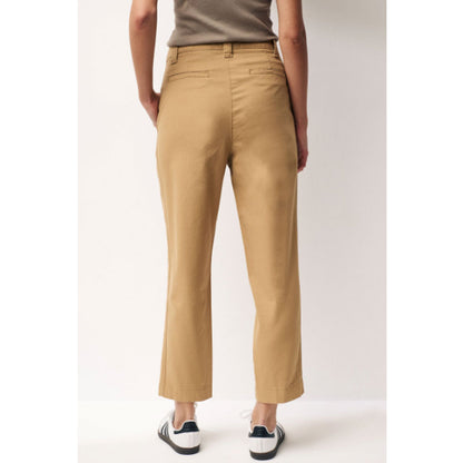 Neutral Tan Brown Cotton Plus Size Chino Pant PSW-7994