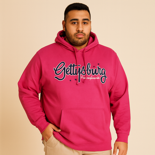 Pink Big Size PullOver Hoodie PSM-3009