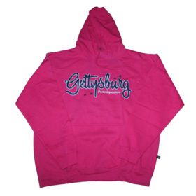 Pink Big Size PullOver Hoodie PSM-3009